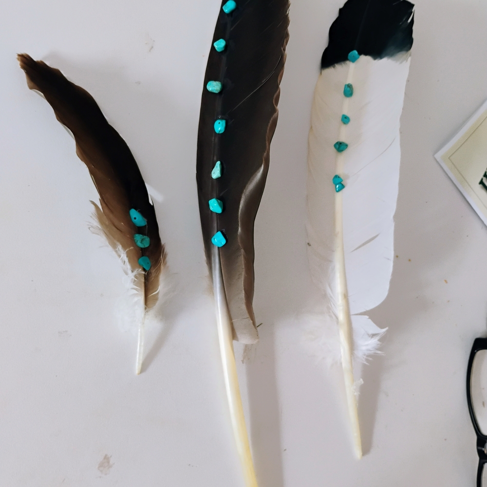 Decorative Feathers with Turquoise Accents
